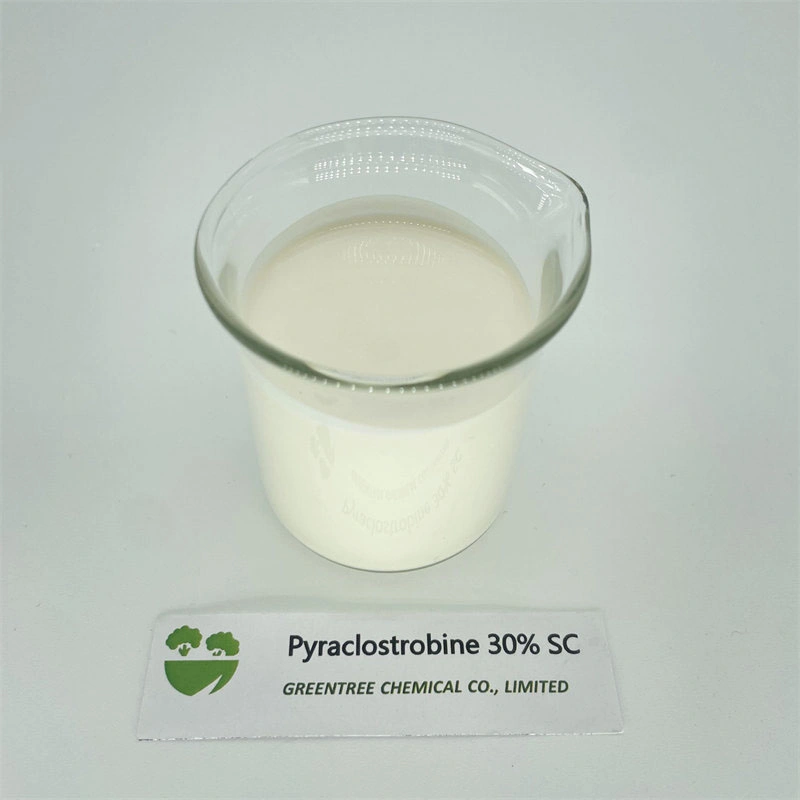 CAS 175013-18-0 Agrochemicals Pesticides Fungicide Pyraclostrobine 30% Sc