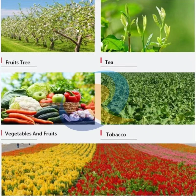 Te Foliar Fertilizer Compound Fertilizer Water Soluble NPK Fertilizer 19-19-19 20-20-20 15-15-15 with Best Price