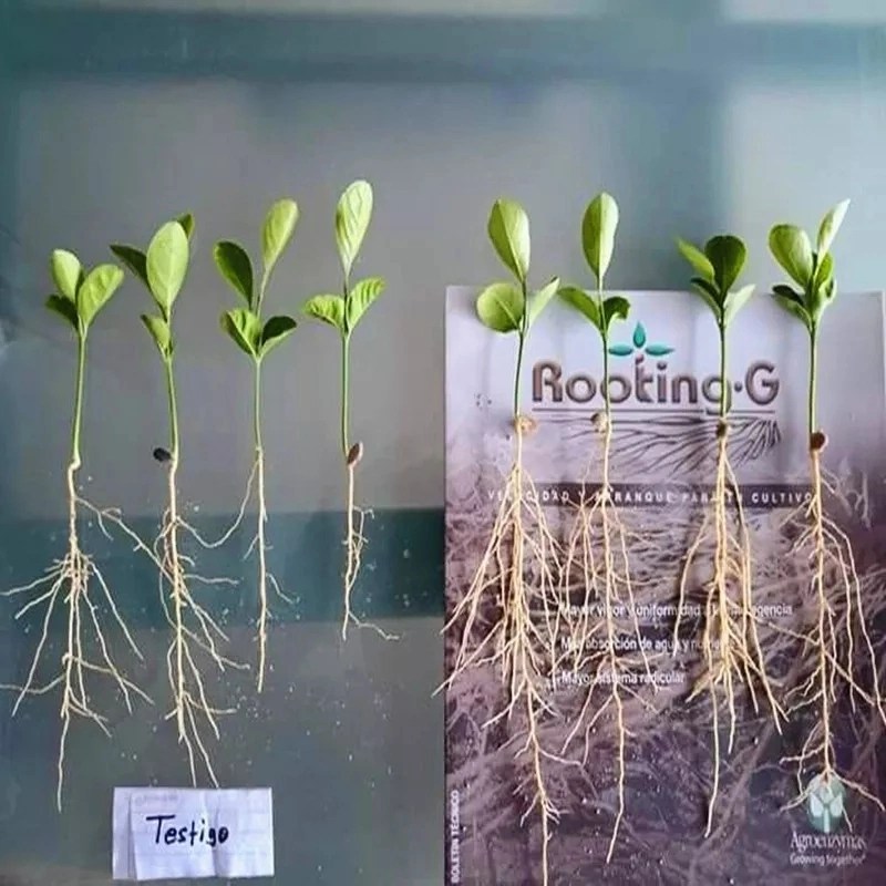 Agro Auxin Plant Growth Regulator Rooting Hormone Iba&Naa 2%Sp
