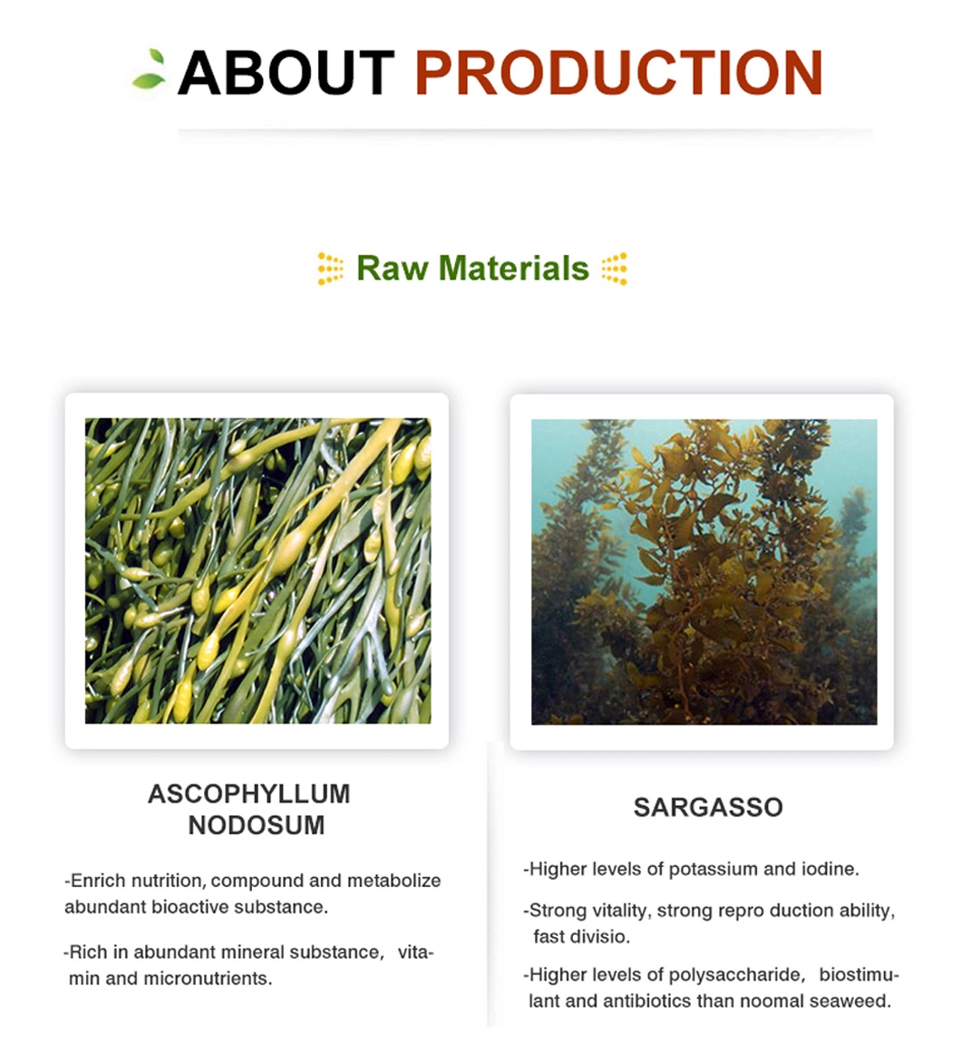 Agriculture Liquid Fish Liquid Organic Seaweed Biostimulant Fertilizer