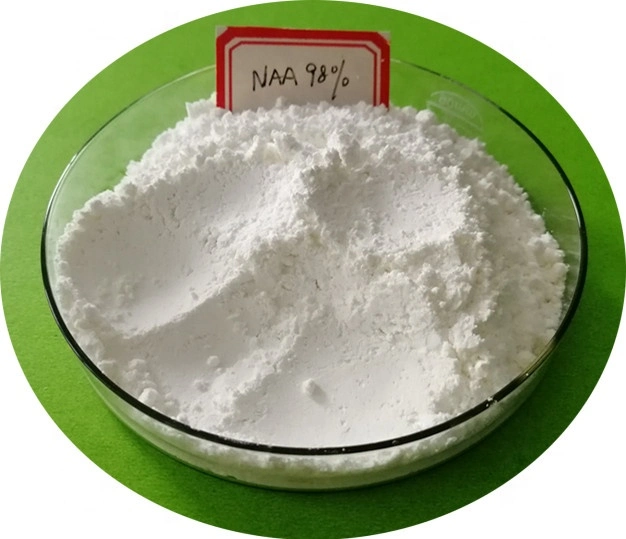 Auxin Plant Hormone/Naa/1-Naphthalene Acetic Acid Naa