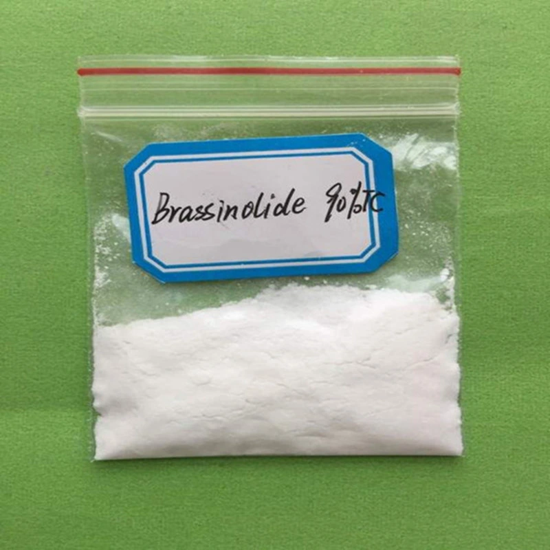 Agriculture Natural Hormone 28-Homobrassinolide 24-Epibrassinolide 90%Tc Price