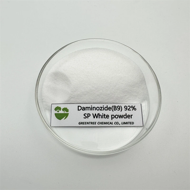 CAS No. 1596-84-5 Control Overgrowth Plant Hormone Daminozide (B9) Pgr 92% 99%