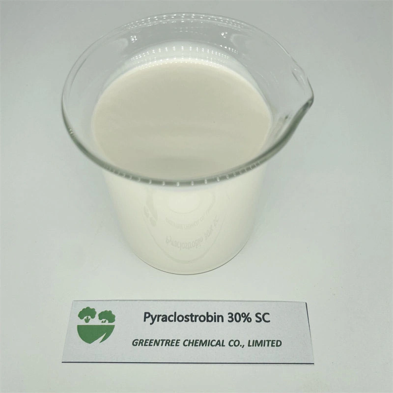 CAS 175013-18-0 Agrochemicals Pesticides Fungicide Pyraclostrobine 30% Sc