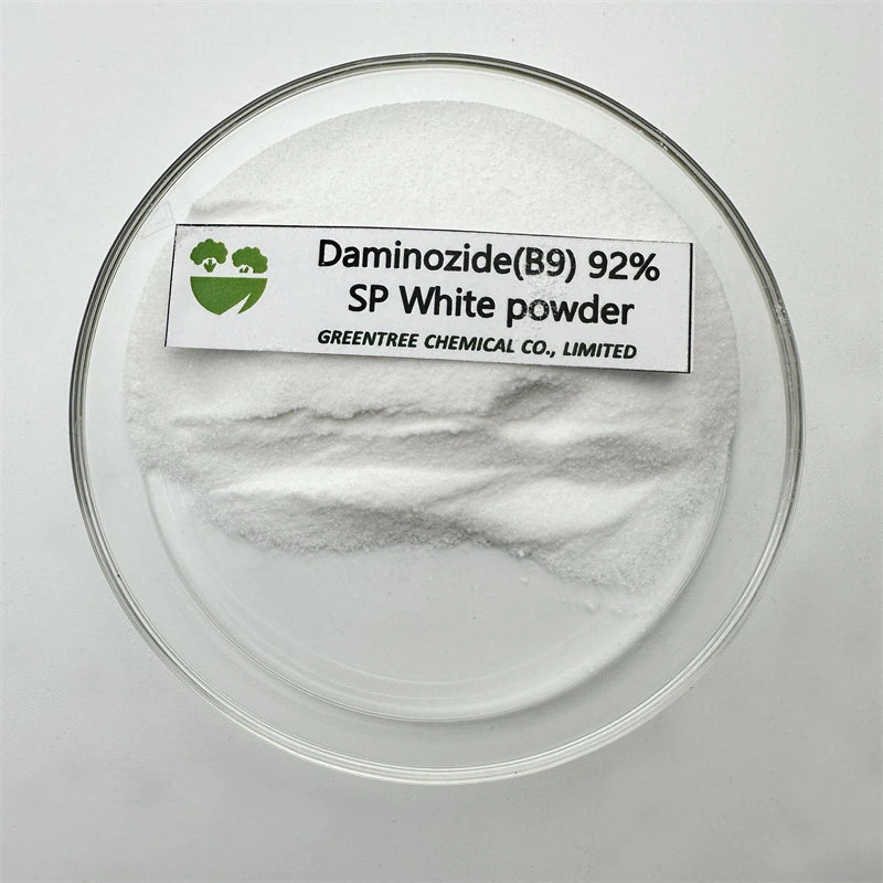 CAS No. 1596-84-5 Control Overgrowth Plant Hormone Daminozide (B9) Pgr 92% 99%