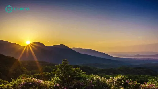 COOSA Biological Organic Water Soluble Amino Acid NPK Powder Foliar Fertilizer 