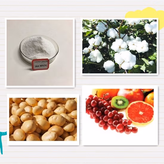 99%Tc Organic Root Stimulator Auxin Iaa Indole Acetic Acid Powder